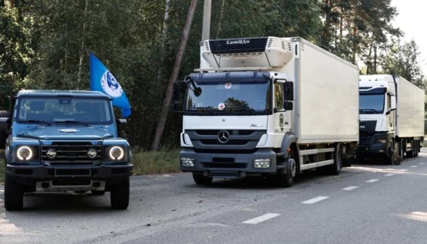 Хроніка репатріації 13 серпня: повернення 261 тіла та подальші кроки